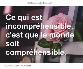 Citations Albert Einstein