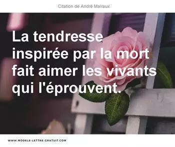 Citations André Malraux