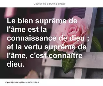 Citations Baruch Spinoza