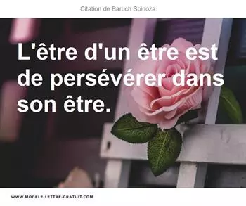 Citations Baruch Spinoza