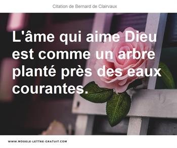 Citations Bernard de Clairvaux