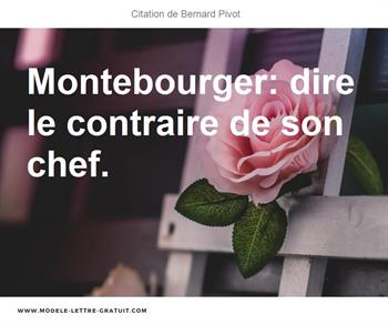 Citations Bernard Pivot