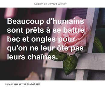 Citations Bernard Werber