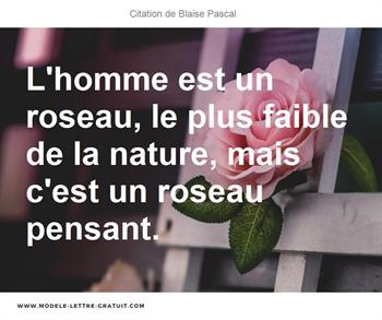 Citations Blaise Pascal