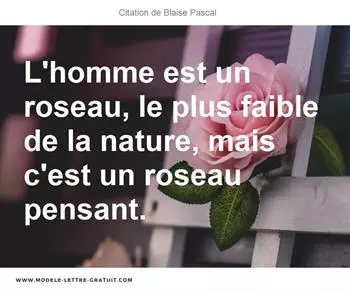 Citations Blaise Pascal