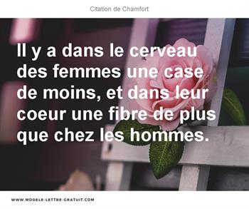 Il Y A Dans Le Cerveau Des Femmes Une Case De Moins Et Dans Chamfort