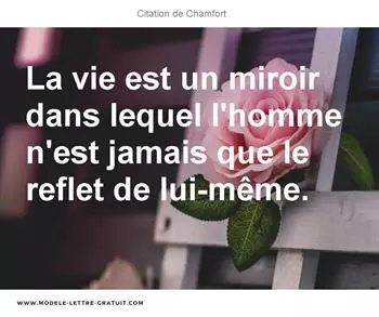Citations Chamfort