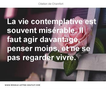 Citations Chamfort