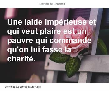 Citations Chamfort