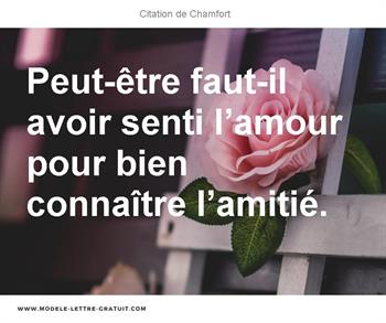 Citations Chamfort