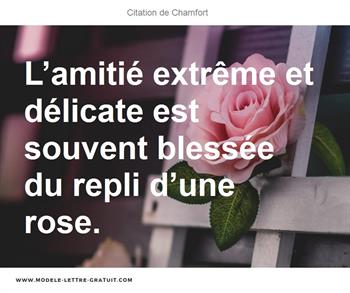 Citations Chamfort