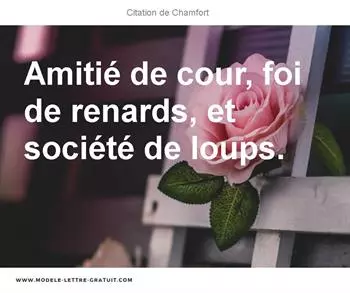 Citations Chamfort