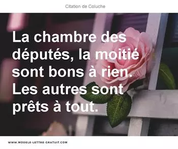 Citations Coluche