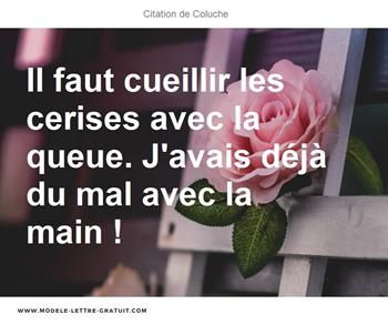 Citations Coluche