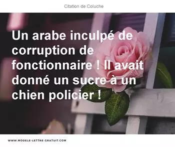 Citations Coluche