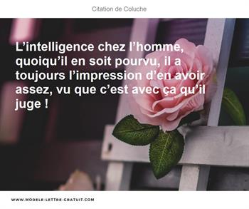 L Intelligence Chez L Homme Quoiqu Il En Soit Pourvu Il A Coluche