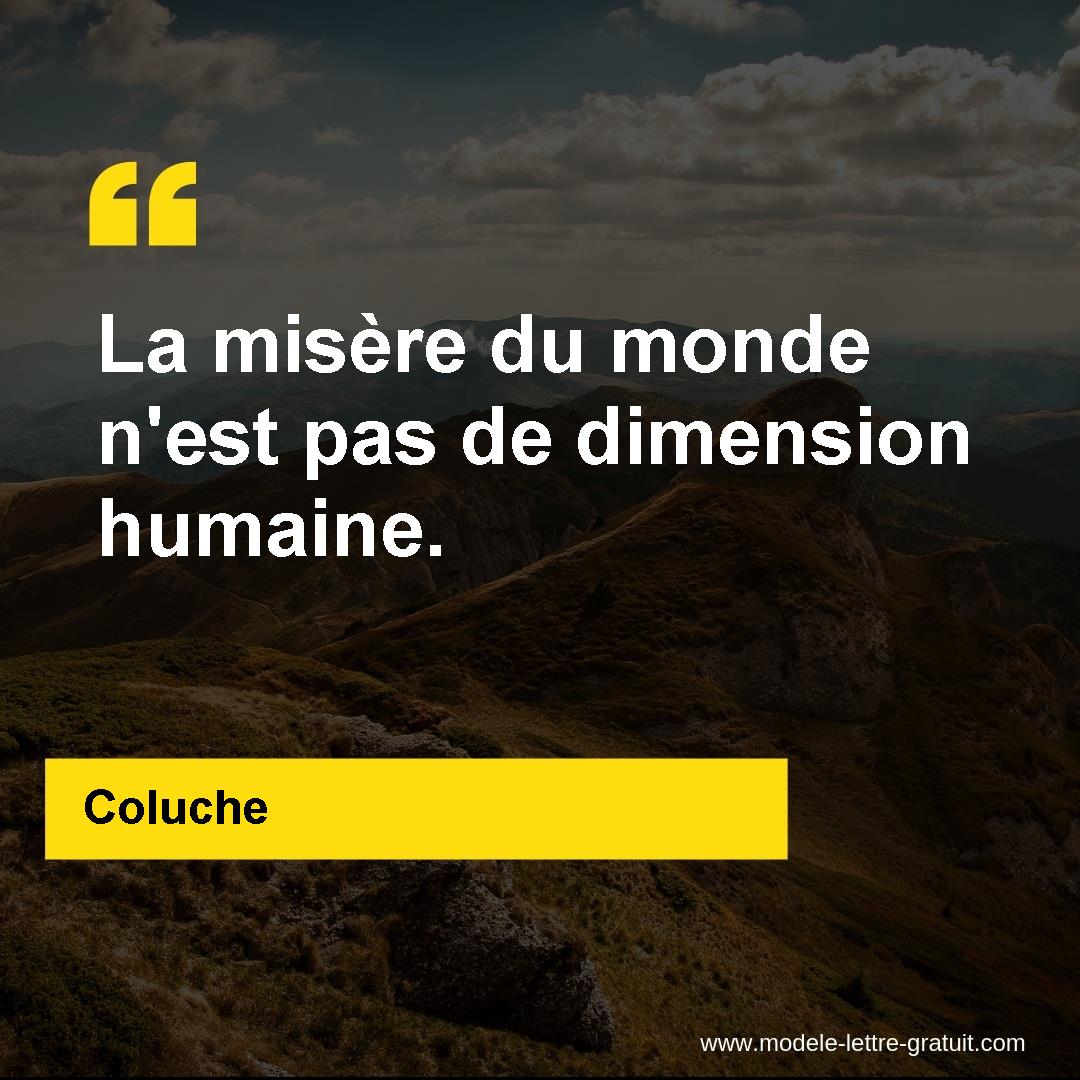 La Misere Du Monde N Est Pas De Dimension Humaine