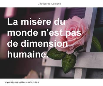 La Misere Du Monde N Est Pas De Dimension Humaine