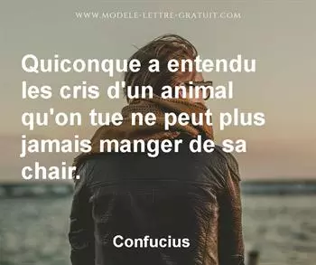 Citation de Confucius