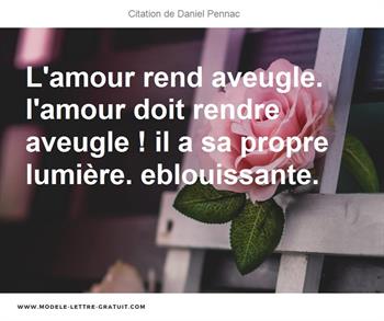 L Amour Rend Aveugle L Amour Doit Rendre Aveugle Il A Sa Daniel Pennac