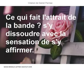 Citations Daniel Pennac