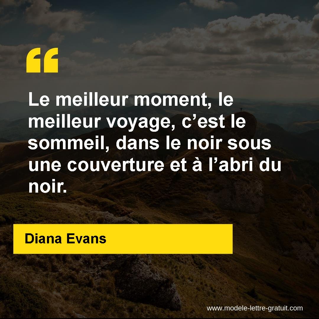 Le Meilleur Moment Le Meilleur Voyage C Est Le Sommeil Dans Diana Evans