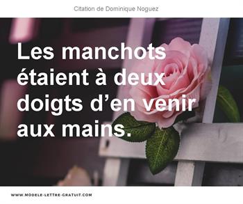 Citations Dominique Noguez