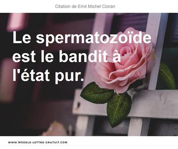 Citations Emil Michel Cioran