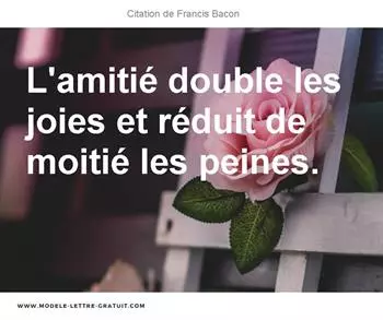 Citations Francis Bacon
