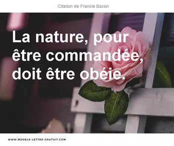 Citations Francis Bacon