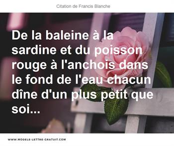 Citations Francis Blanche