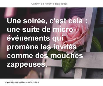 Citations Frédéric Beigbeder