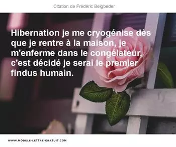 Citations Frédéric Beigbeder