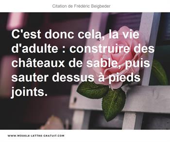 Citations Frédéric Beigbeder