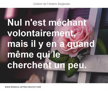 Citations Frédéric Beigbeder