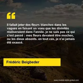 Citation Frédéric Beigbeder