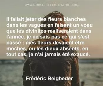 Citation de Frédéric Beigbeder