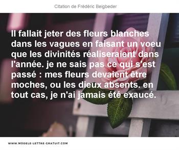 Citations Frédéric Beigbeder
