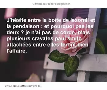 Citations Frédéric Beigbeder