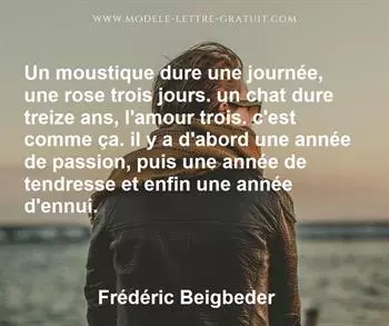 Citation de Frédéric Beigbeder