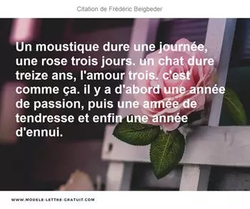 Citations Frédéric Beigbeder