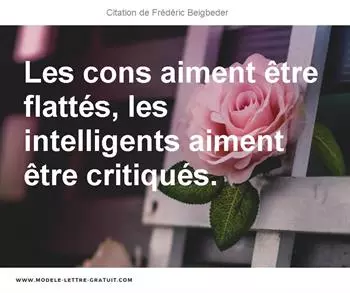 Citations Frédéric Beigbeder