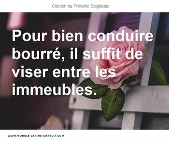 Citations Frédéric Beigbeder