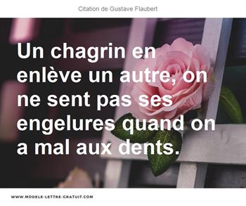 Citations Gustave Flaubert