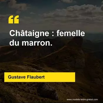 Citation Gustave Flaubert
