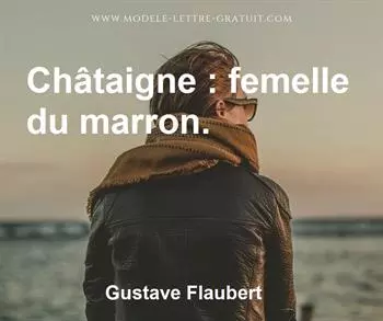 Citation de Gustave Flaubert