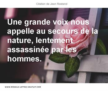 Citations Jean Rostand