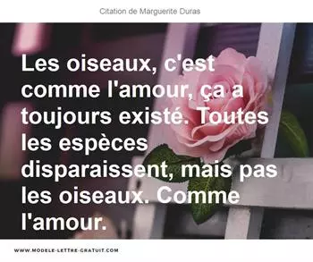 Citations Marguerite Duras