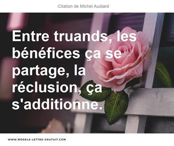 Citations Michel Audiard