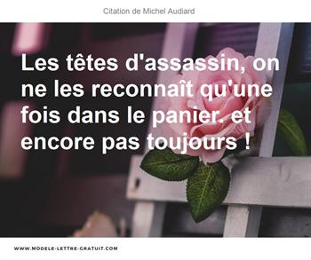 Citations Michel Audiard